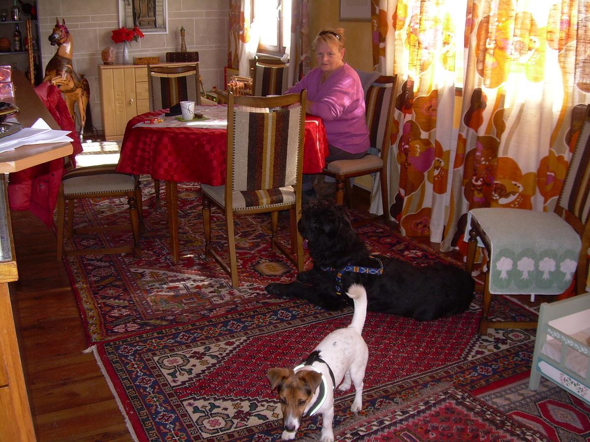 Wohlfuehloase Fuer Mensch Und Hund Panzió Uzwil Kültér fotó