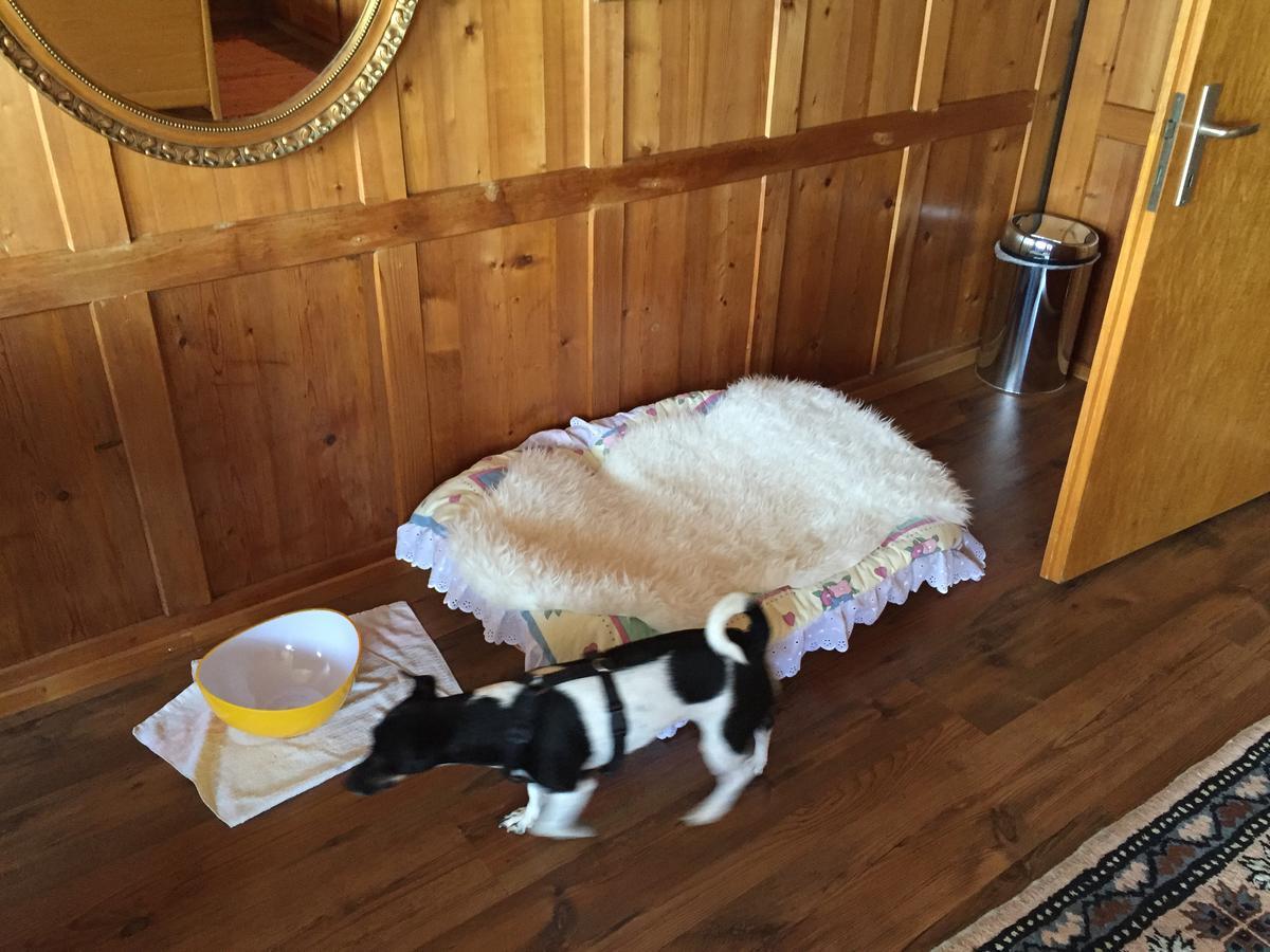 Wohlfuehloase Fuer Mensch Und Hund Panzió Uzwil Kültér fotó