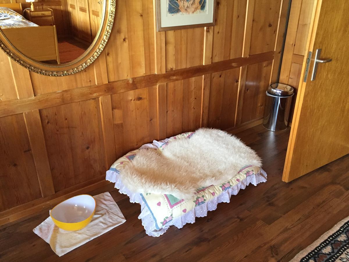 Wohlfuehloase Fuer Mensch Und Hund Panzió Uzwil Kültér fotó