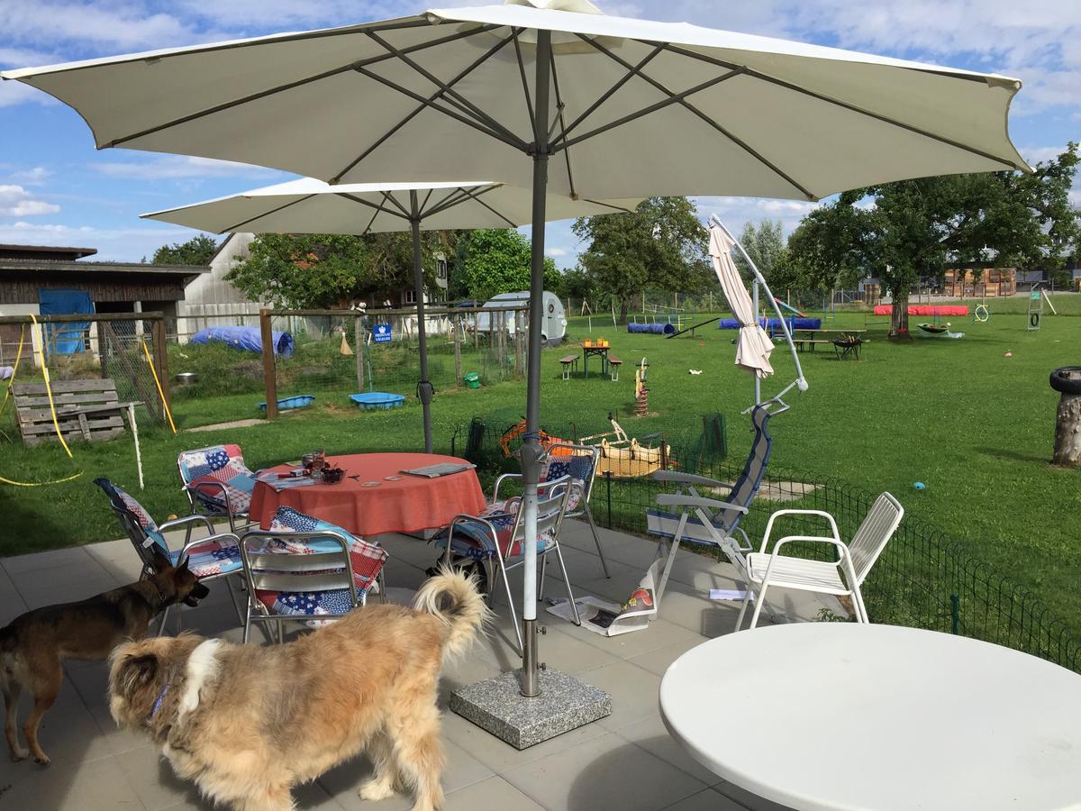 Wohlfuehloase Fuer Mensch Und Hund Panzió Uzwil Kültér fotó